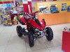 Квадроцикл Quad 49cc - Racer