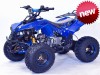RaZoR 125cc 8